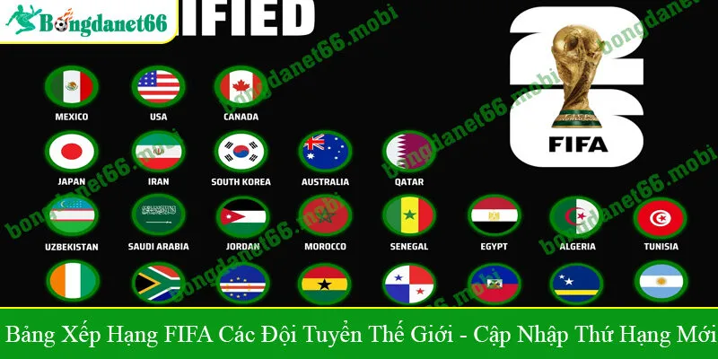 Bảng xếp hạng FIFA các đội tuyển thế giới
