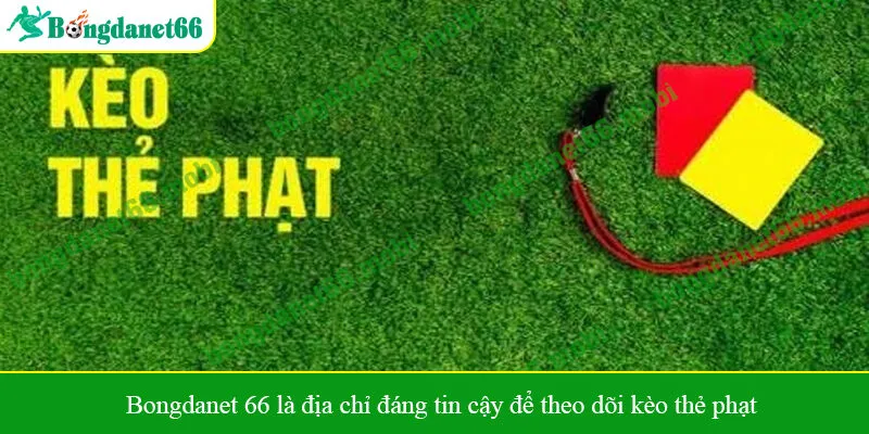 Bongdanet 66 là địa chỉ đáng tin cậy để theo dõi kèo thẻ phạt