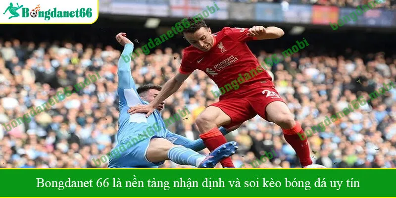 Bongdanet 66 là nền tảng nhận định và soi kèo bóng đá uy tín