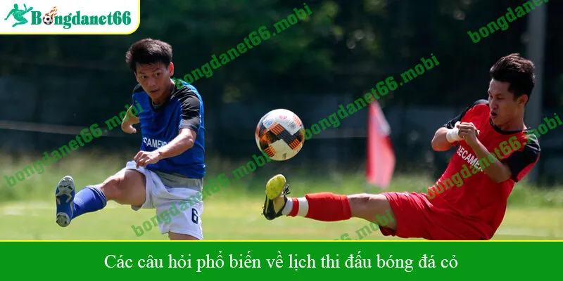 Các câu hỏi phổ biến về lịch thi đấu bóng đá cỏ