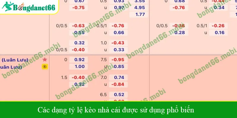 Các dạng tỷ lệ kèo nhà cái được sử dụng phổ biến