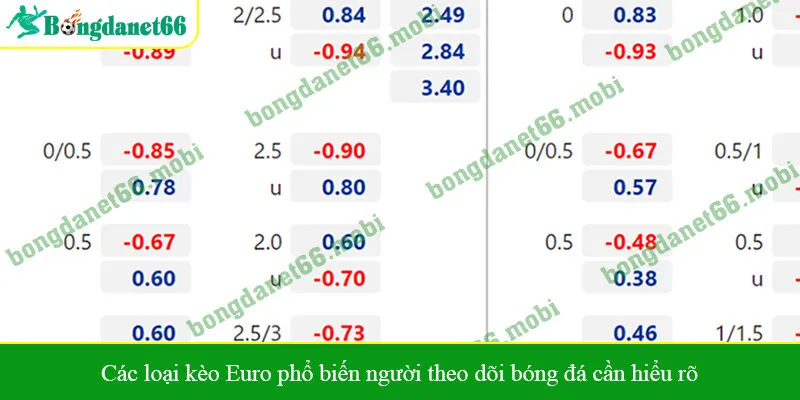 Các loại kèo Euro phổ biến người theo dõi bóng đá cần hiểu rõ
