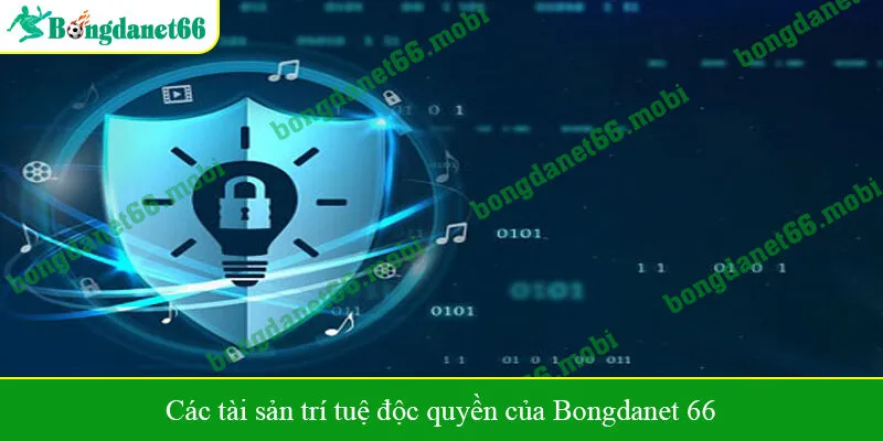 Các tài sản trí tuệ độc quyền của Bongdanet 66