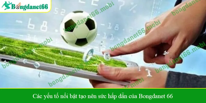 Các yếu tố nổi bật tạo nên sức hấp dẫn của Bongdanet 66