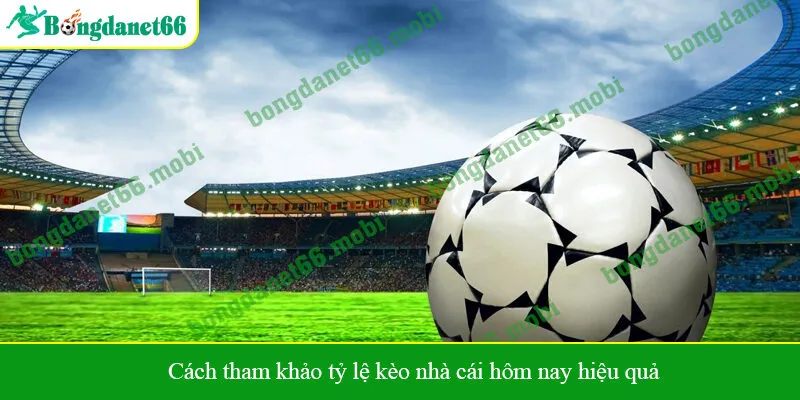 Cách tham khảo tỷ lệ kèo nhà cái hôm nay hiệu quả