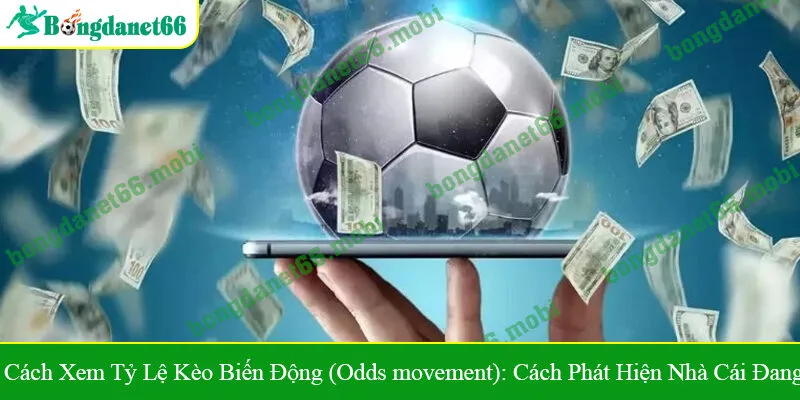 cách xem tỷ lệ kèo biến động (Odds movement)