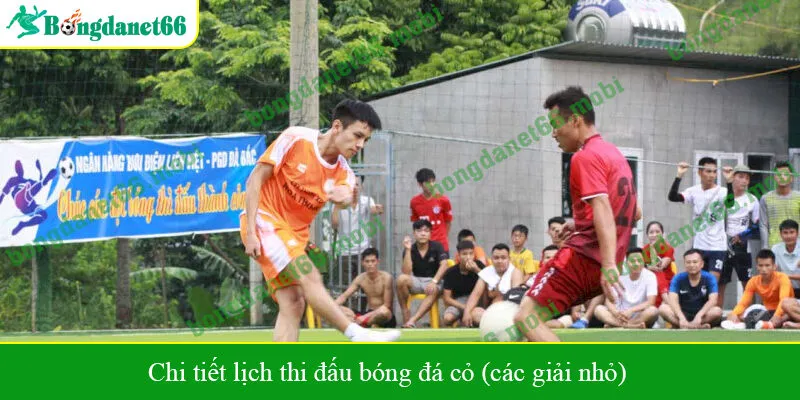 Chi tiết lịch thi đấu bóng đá cỏ (các giải nhỏ)