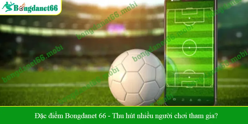 Đặc điểm Bongdanet 66 - Thu hút nhiều người chơi tham gia?