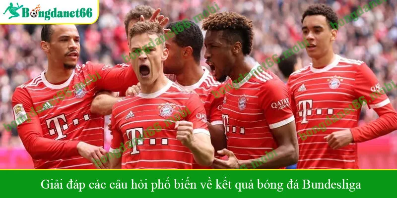 Giải đáp các câu hỏi phổ biến về kết quả bóng đá Bundesliga
