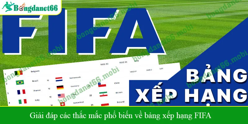 Giải đáp các thắc mắc phổ biến về bảng xếp hạng FIFA