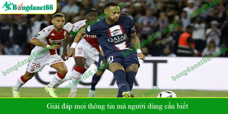 Giải đáp mọi thông tin mà người dùng cần biết