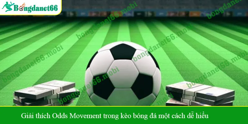 Giải thích Odds Movement trong kèo bóng đá một cách dễ hiểu