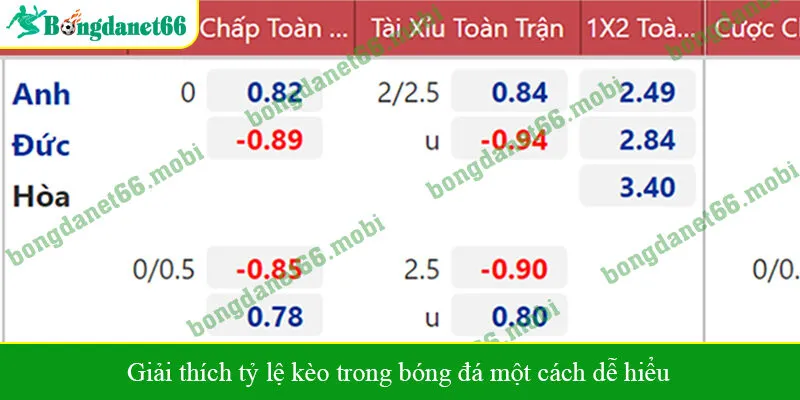 Giải thích tỷ lệ kèo trong bóng đá một cách dễ hiểu