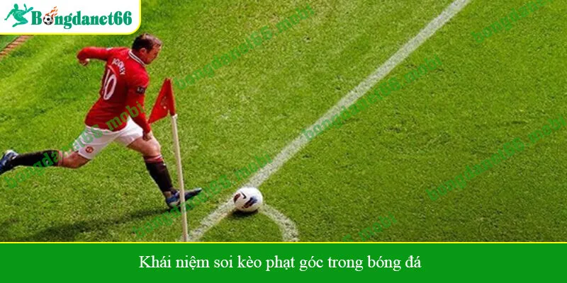 Khái niệm soi kèo phạt góc trong bóng đá