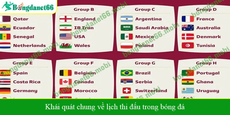 Khái quát chung về lịch thi đấu trong bóng đá