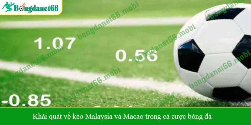 Khái quát về kèo Malaysia và Macao trong cá cược bóng đá