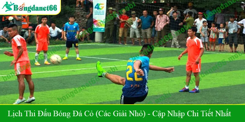 lịch thi đấu bóng đá cỏ (các giải nhỏ)