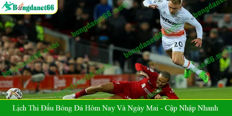 lịch thi đấu bóng đá hôm nay và ngày mai