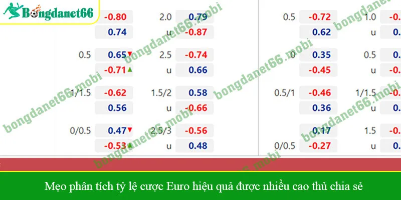 Mẹo phân tích tỷ lệ cược Euro hiệu quả được nhiều cao thủ chia sẻ