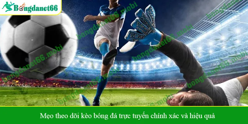 Mẹo theo dõi kèo bóng đá trực tuyến chính xác và hiệu quả