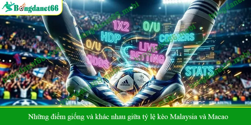 Những điểm giống và khác nhau giữa tỷ lệ kèo Malaysia và Macao
