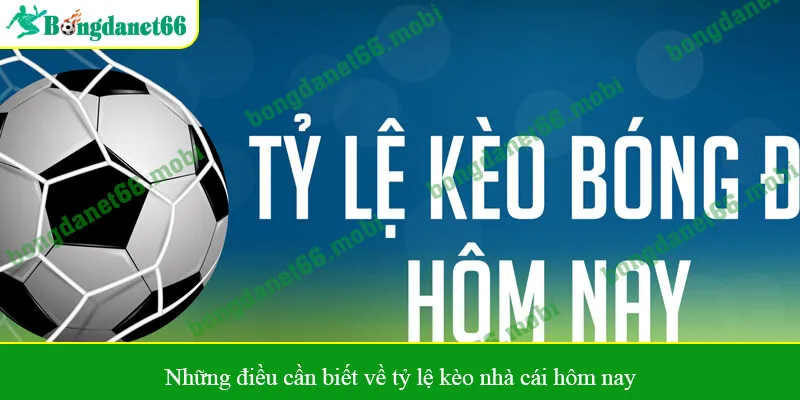 Những điều cần biết về tỷ lệ kèo nhà cái hôm nay