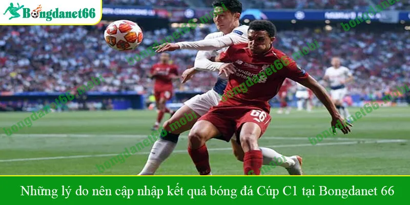 Những lý do nên cập nhập kết quả bóng đá Cúp C1 tại Bongdanet 66