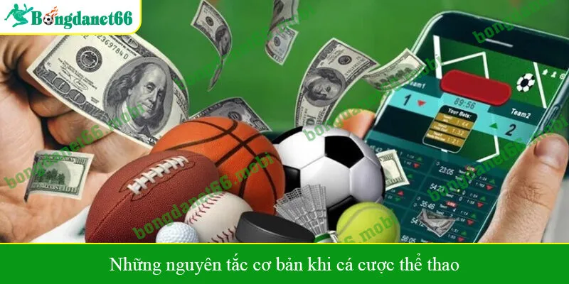 Những nguyên tắc cơ bản khi cá cược thể thao