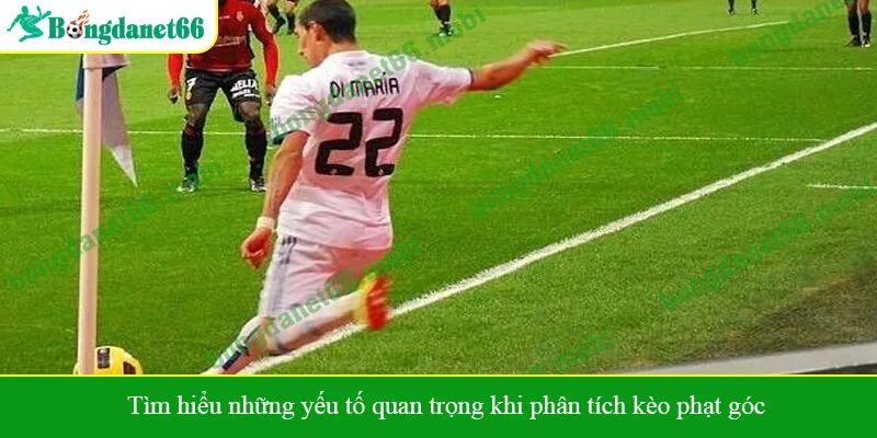 Tìm hiểu những yếu tố quan trọng khi phân tích kèo phạt góc