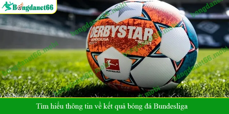 Tìm hiểu thông tin về kết quả bóng đá Bundesliga