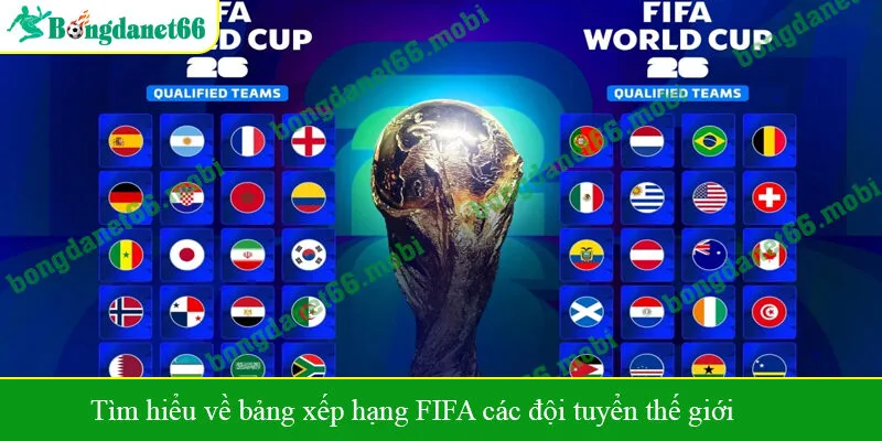 Tìm hiểu về bảng xếp hạng FIFA các đội tuyển thế giới