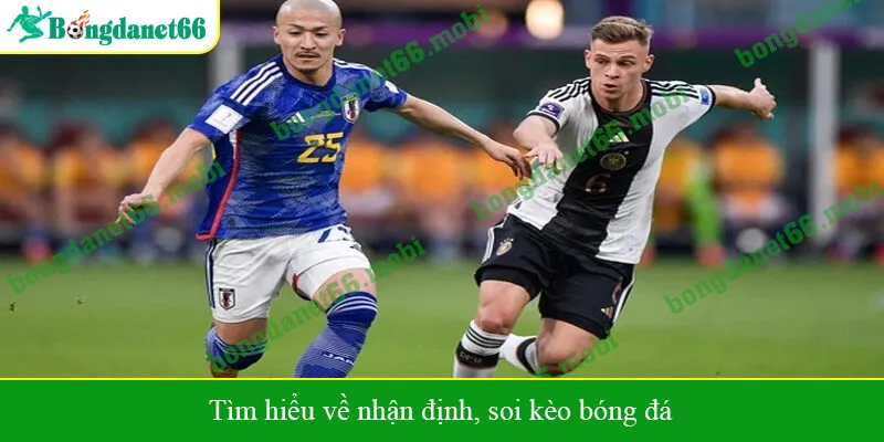 Tìm hiểu về nhận định, soi kèo bóng đá