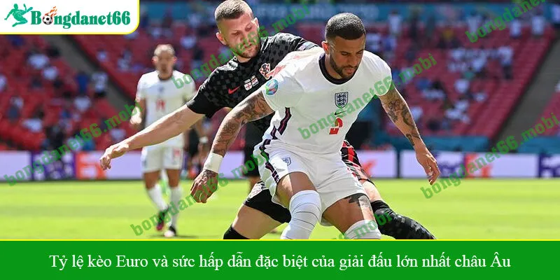 Tỷ lệ kèo Euro và sức hấp dẫn đặc biệt của giải đấu lớn nhất châu Âu