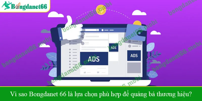Vì sao Bongdanet 66 là lựa chọn phù hợp để quảng bá thương hiệu?